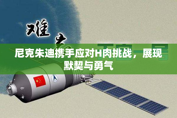 尼克朱迪携手应对H肉挑战，展现默契与勇气