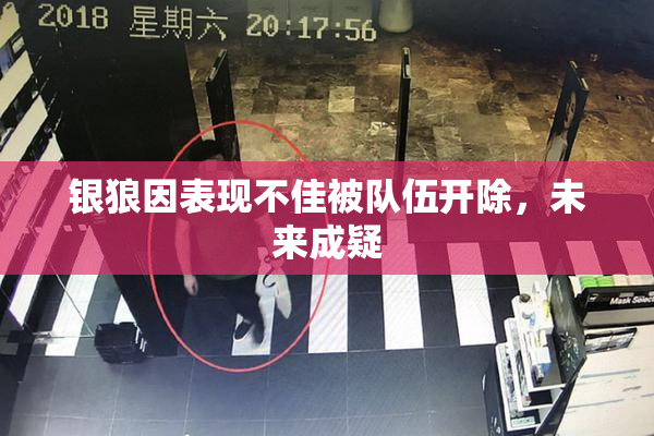银狼因表现不佳被队伍开除，未来成疑