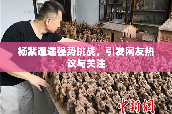 杨紫遭遇强势挑战，引发网友热议与关注