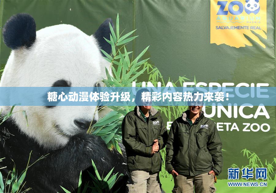 糖心动漫体验升级，精彩内容热力来袭！