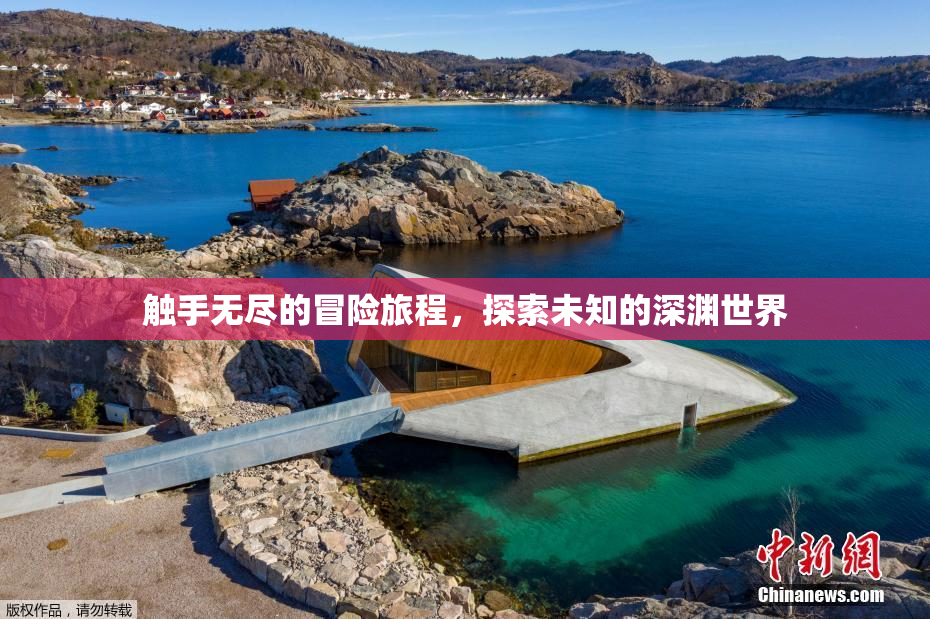 触手无尽的冒险旅程，探索未知的深渊世界