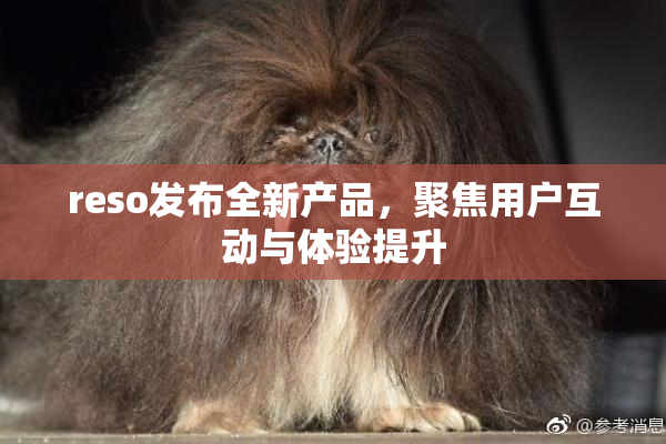 reso发布全新产品，聚焦用户互动与体验提升