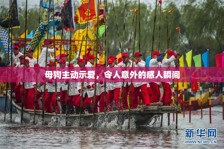 母狗主动示爱，令人意外的感人瞬间