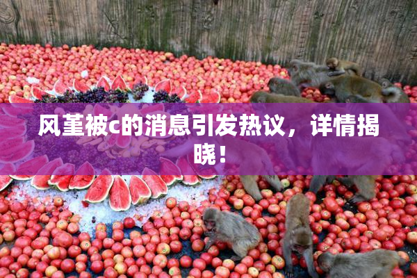 风堇被c的消息引发热议，详情揭晓！