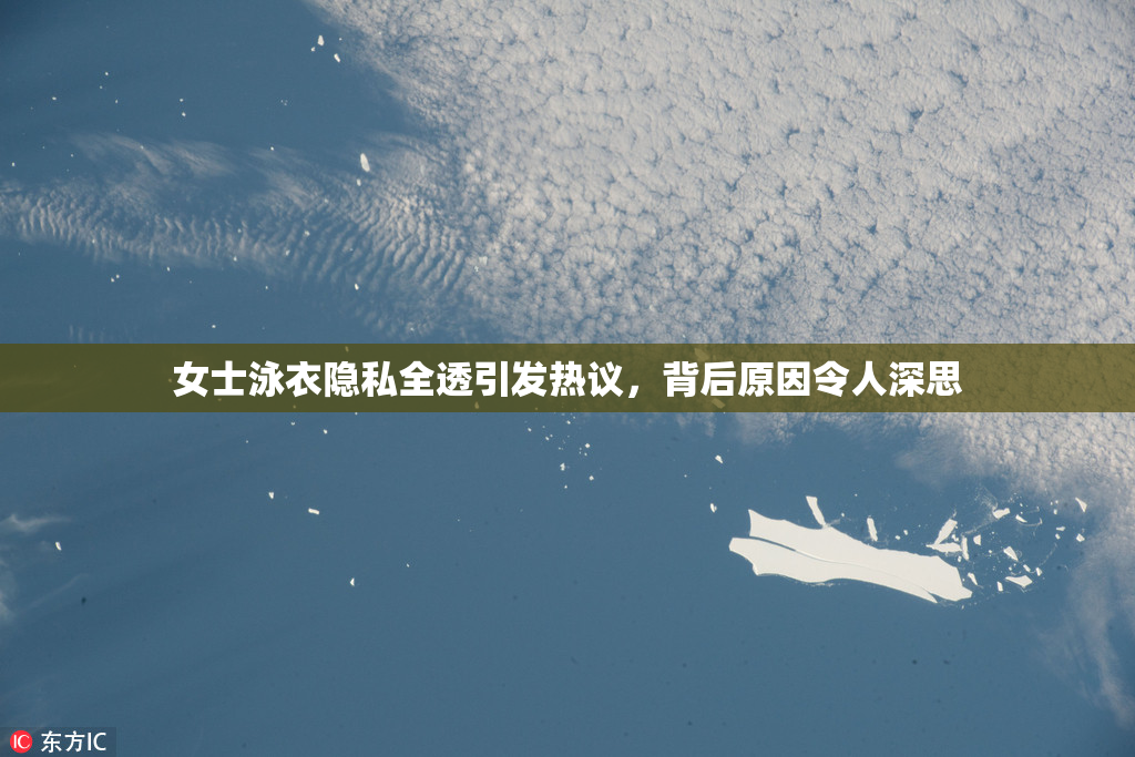 女士泳衣隐私全透引发热议，背后原因令人深思