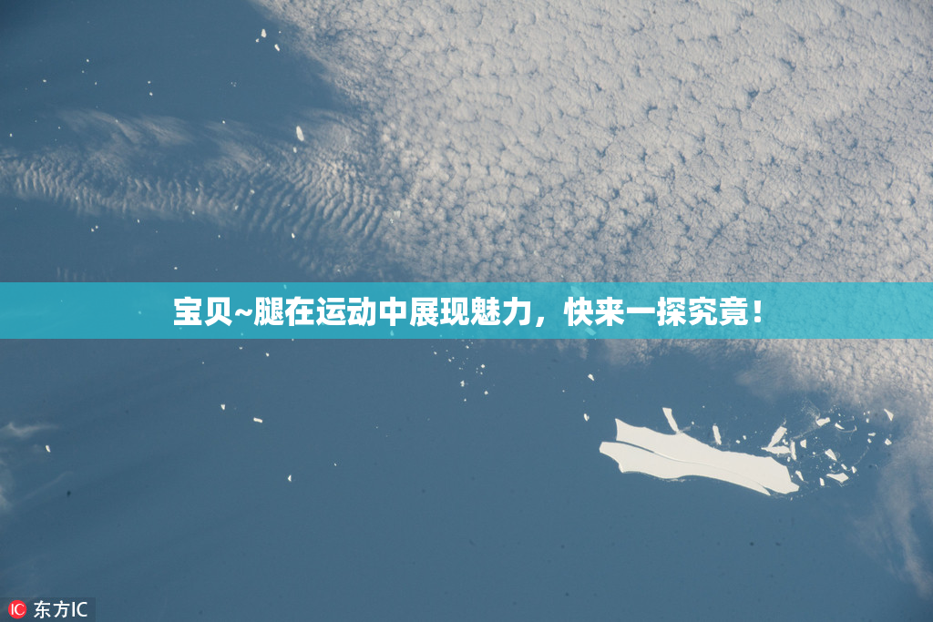 宝贝~腿在运动中展现魅力，快来一探究竟！