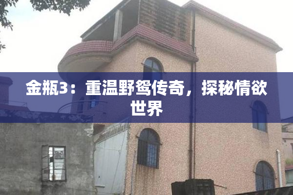 金瓶3：重温野鸳传奇，探秘情欲世界