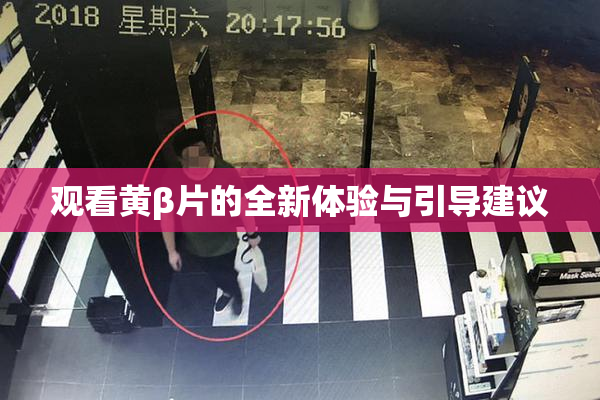 观看黄β片的全新体验与引导建议