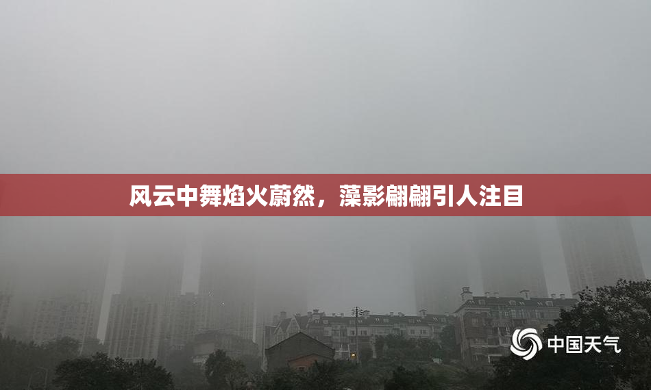 风云中舞焰火蔚然，藻影翩翩引人注目