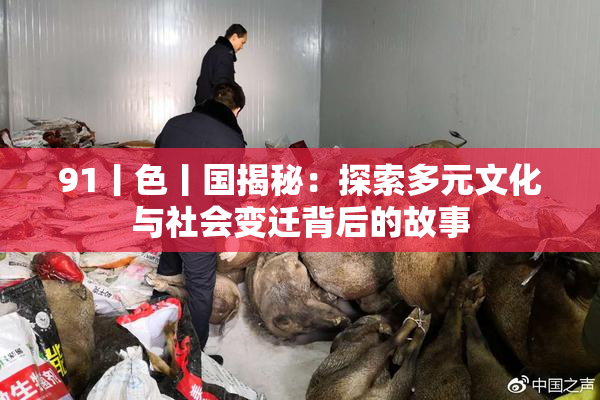 91丨色丨国揭秘：探索多元文化与社会变迁背后的故事