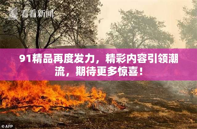 91精品再度发力，精彩内容引领潮流，期待更多惊喜！