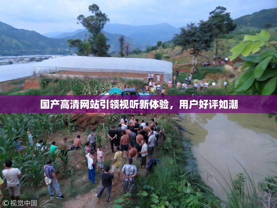 国产高清网站引领视听新体验，用户好评如潮