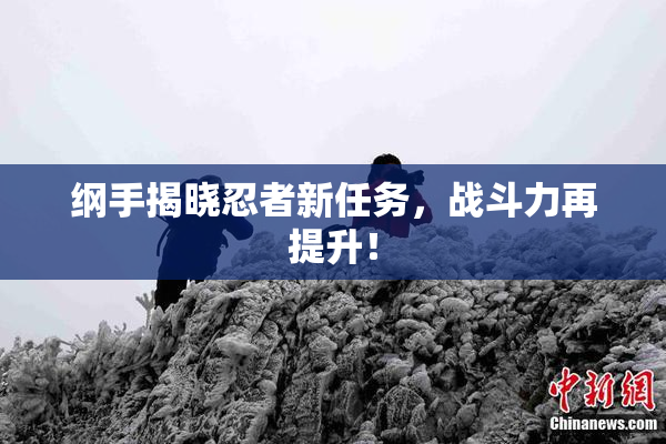 纲手揭晓忍者新任务，战斗力再提升！