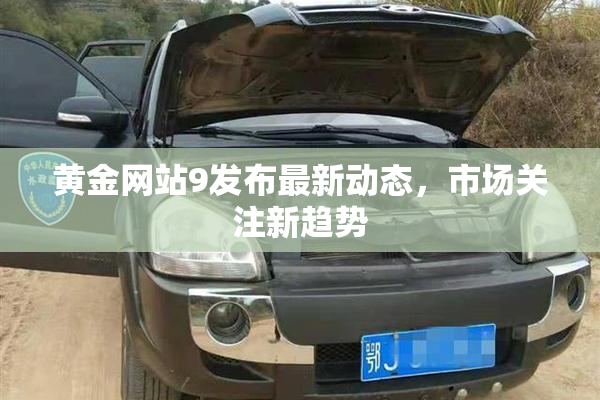 黄金网站9发布最新动态，市场关注新趋势