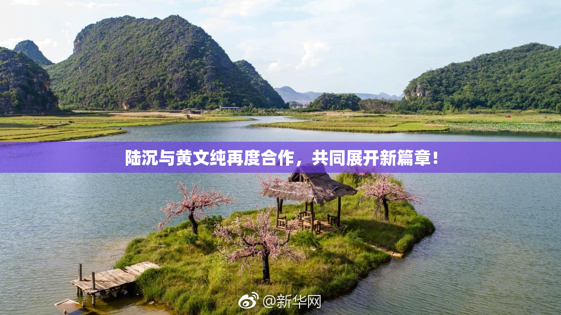 陆沉与黄文纯再度合作，共同展开新篇章！
