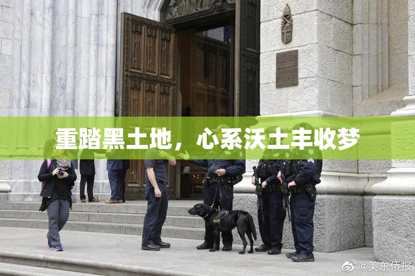 重踏黑土地，心系沃土丰收梦