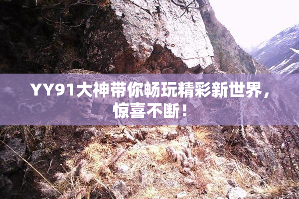 YY91大神带你畅玩精彩新世界，惊喜不断！