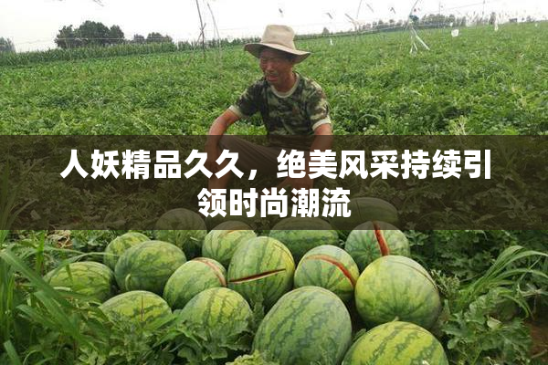 人妖精品久久，绝美风采持续引领时尚潮流