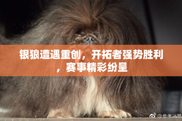 银狼遭遇重创，开拓者强势胜利，赛事精彩纷呈