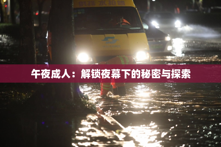 午夜成人：解锁夜幕下的秘密与探索