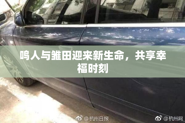 鸣人与雏田迎来新生命，共享幸福时刻