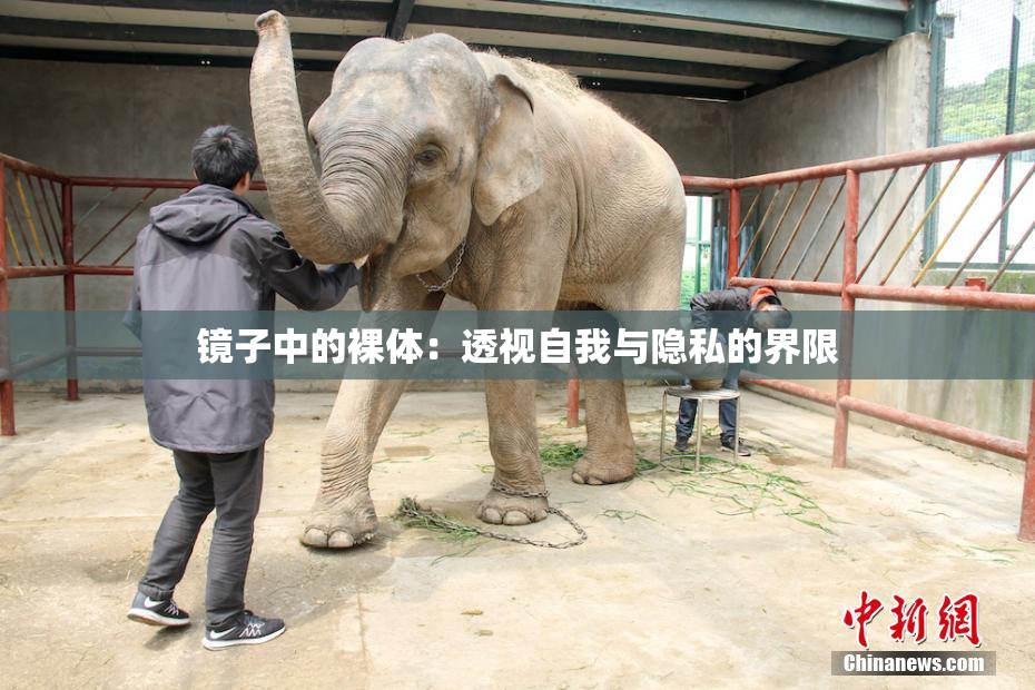 镜子中的裸体：透视自我与隐私的界限