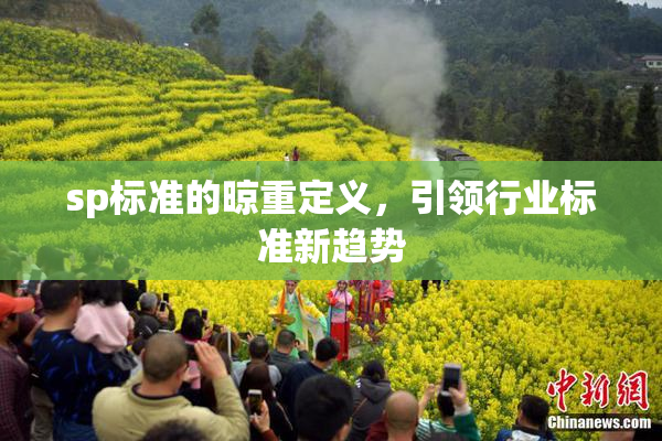 sp标准的晾重定义，引领行业标准新趋势