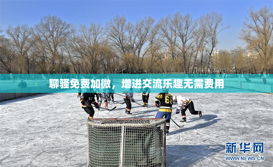 聊骚免费加微，增进交流乐趣无需费用