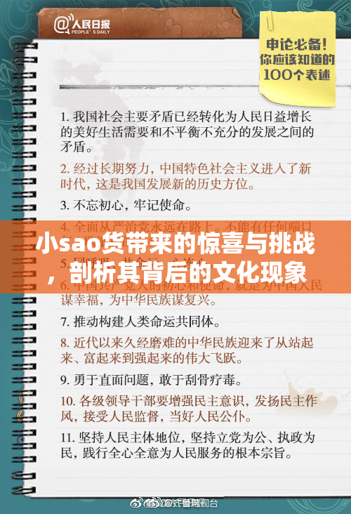 小sao货带来的惊喜与挑战，剖析其背后的文化现象