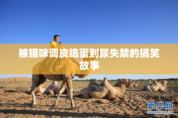 被猫咪调皮捣蛋到尿失禁的搞笑故事