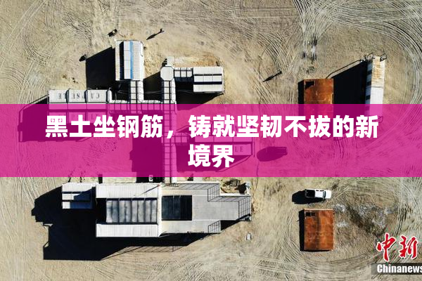 黑土坐钢筋，铸就坚韧不拔的新境界