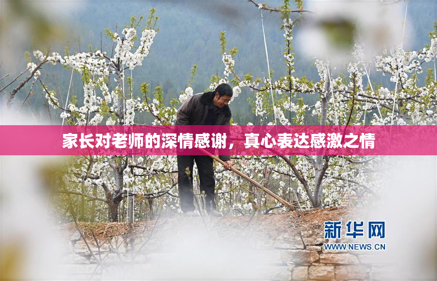 家长对老师的深情感谢，真心表达感激之情