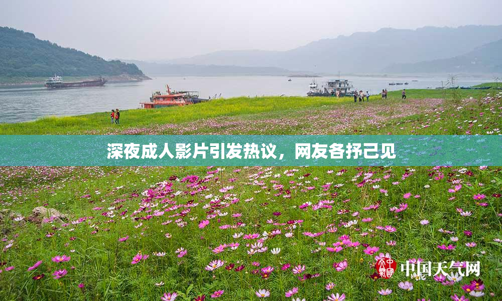 深夜成人影片引发热议，网友各抒己见