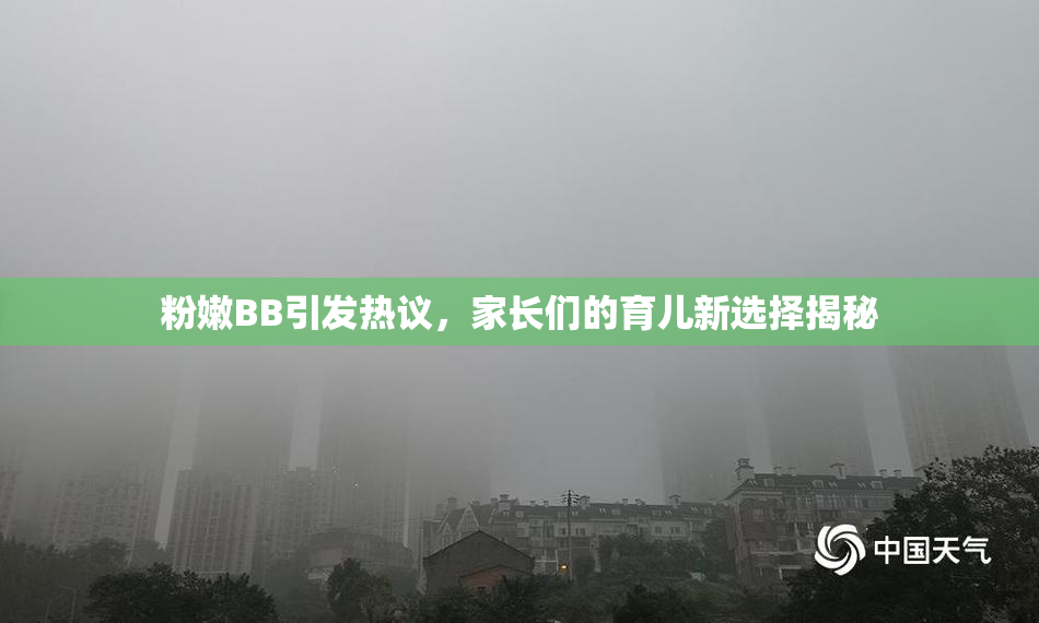粉嫩BB引发热议，家长们的育儿新选择揭秘