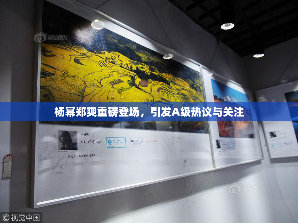 杨幂郑爽重磅登场，引发A级热议与关注