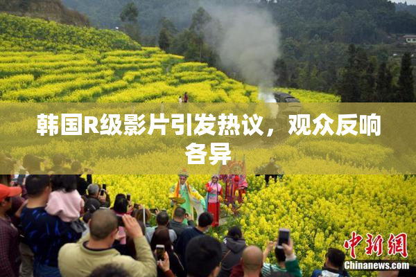 韩国R级影片引发热议，观众反响各异