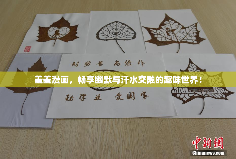 羞羞漫画，畅享幽默与汗水交融的趣味世界！
