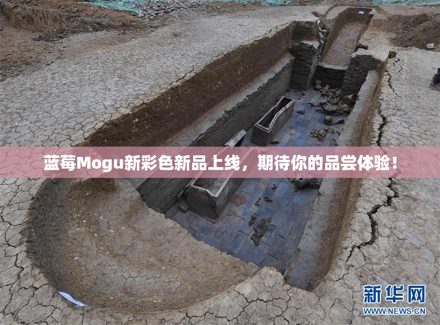 蓝莓Mogu新彩色新品上线，期待你的品尝体验！