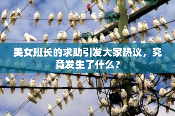 美女班长的求助引发大家热议，究竟发生了什么？