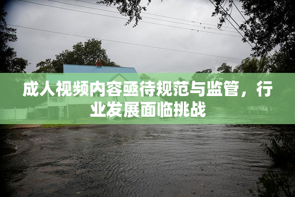 成人视频内容亟待规范与监管，行业发展面临挑战