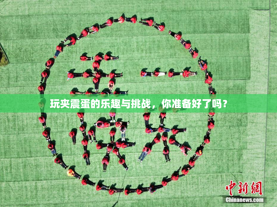 玩夹震蛋的乐趣与挑战，你准备好了吗？