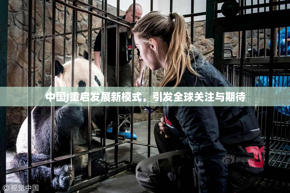 中国J重启发展新模式，引发全球关注与期待