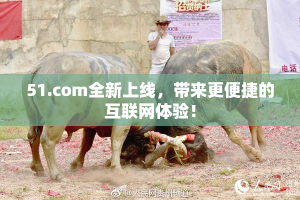 51.com全新上线，带来更便捷的互联网体验！