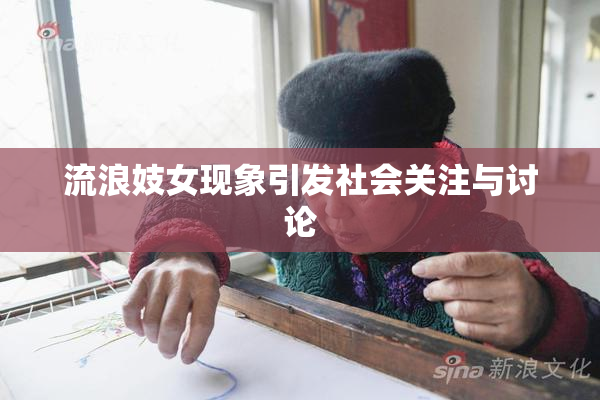 流浪妓女现象引发社会关注与讨论
