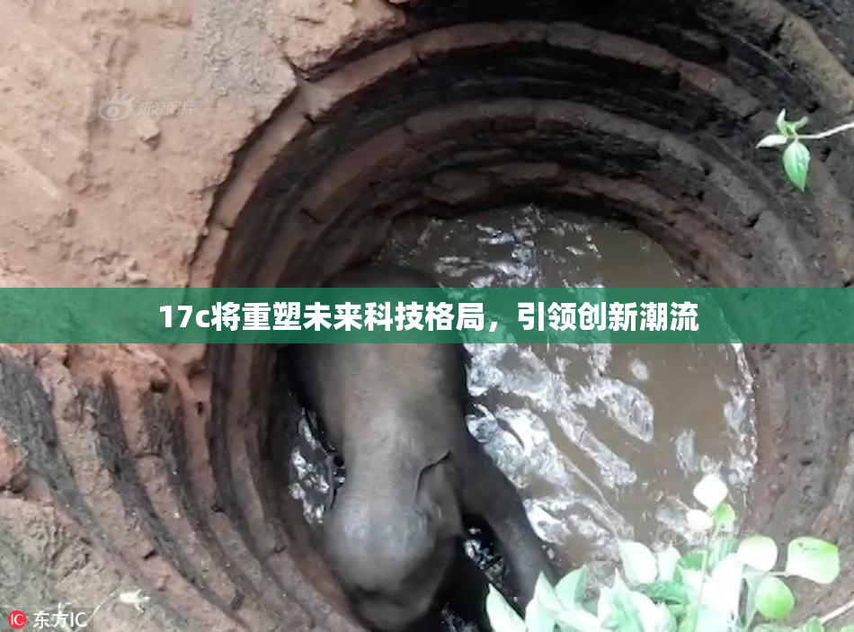 17c将重塑未来科技格局，引领创新潮流