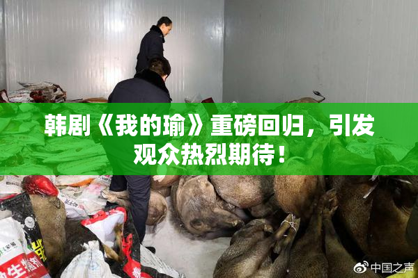 韩剧《我的瑜》重磅回归，引发观众热烈期待！