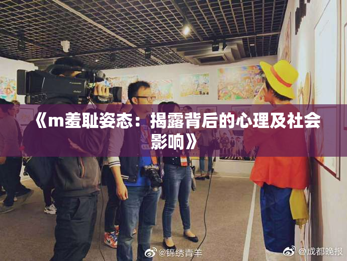 《m羞耻姿态：揭露背后的心理及社会影响》