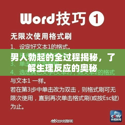 男人勃起的全过程揭秘，了解生理反应的奥秘