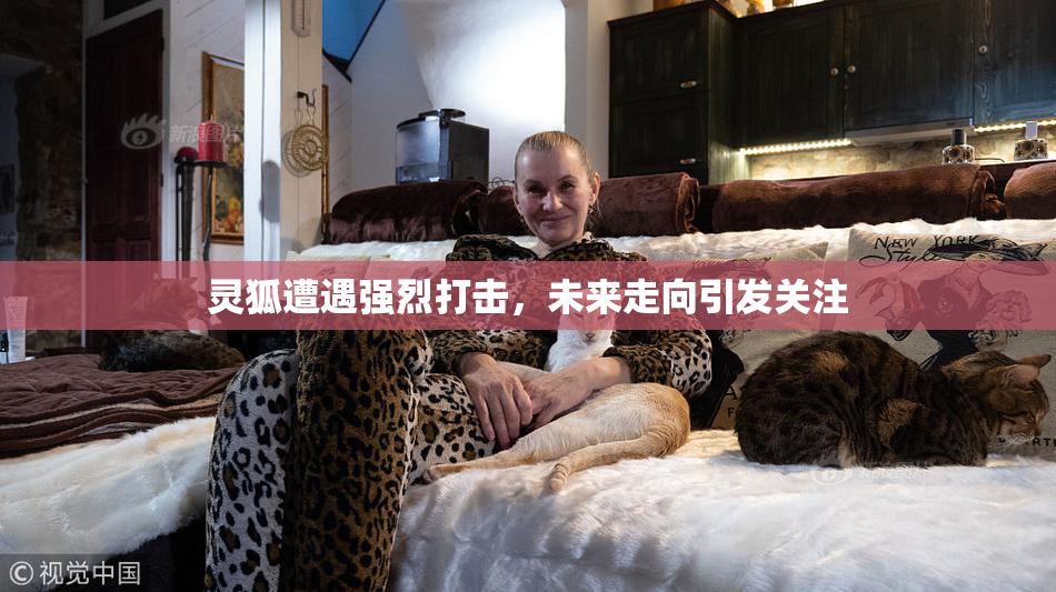 灵狐遭遇强烈打击，未来走向引发关注