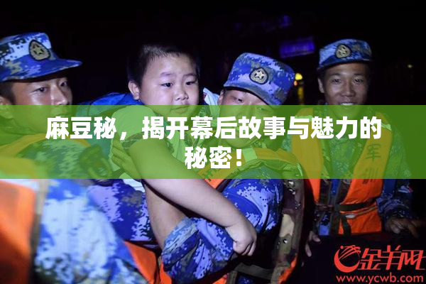 麻豆秘，揭开幕后故事与魅力的秘密！